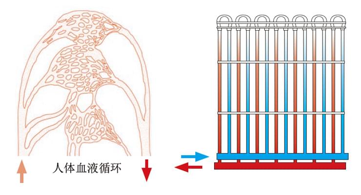 毛细管路